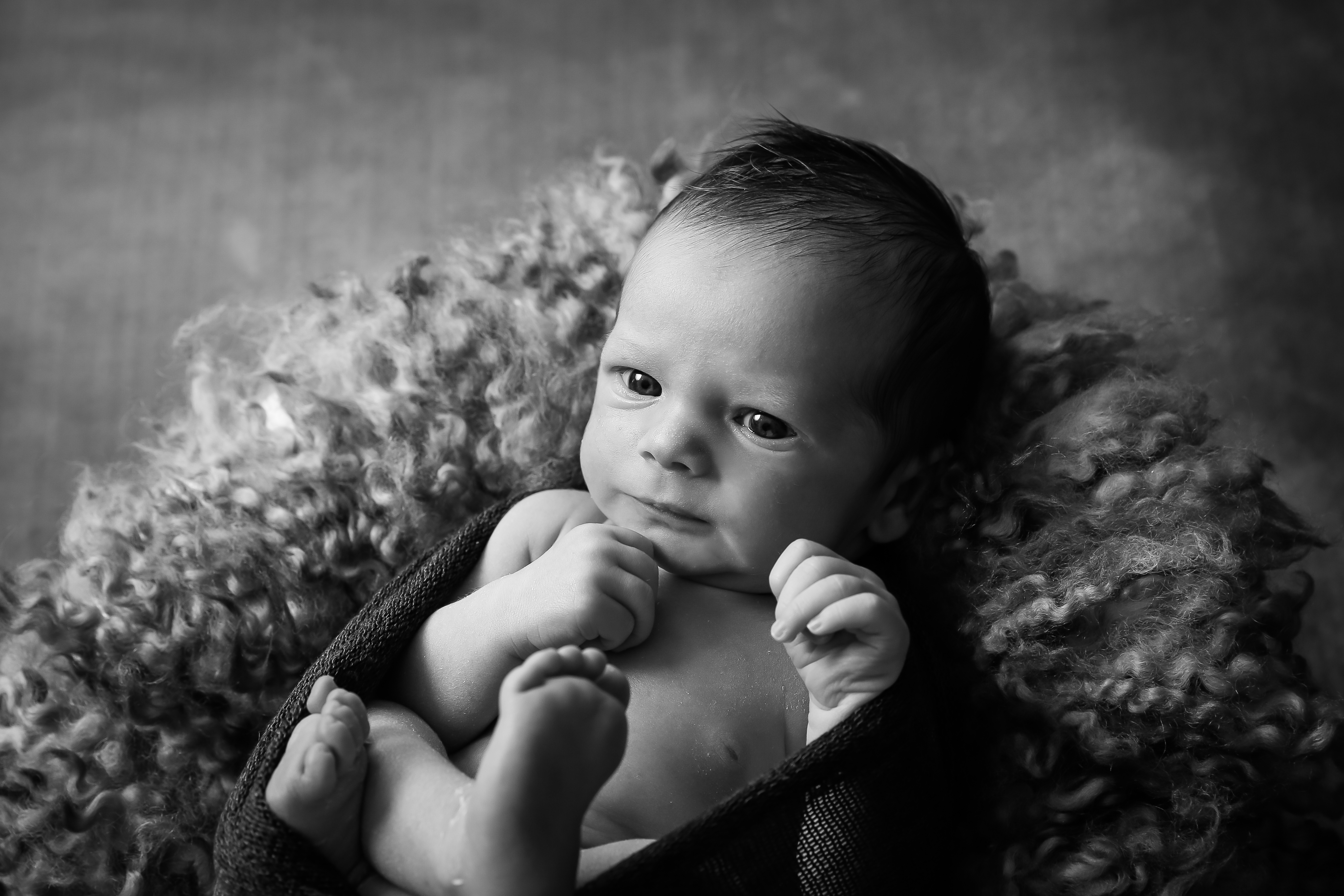 Ballan newborn photographer ballarat bacchus marsh photography studio modern baby photo