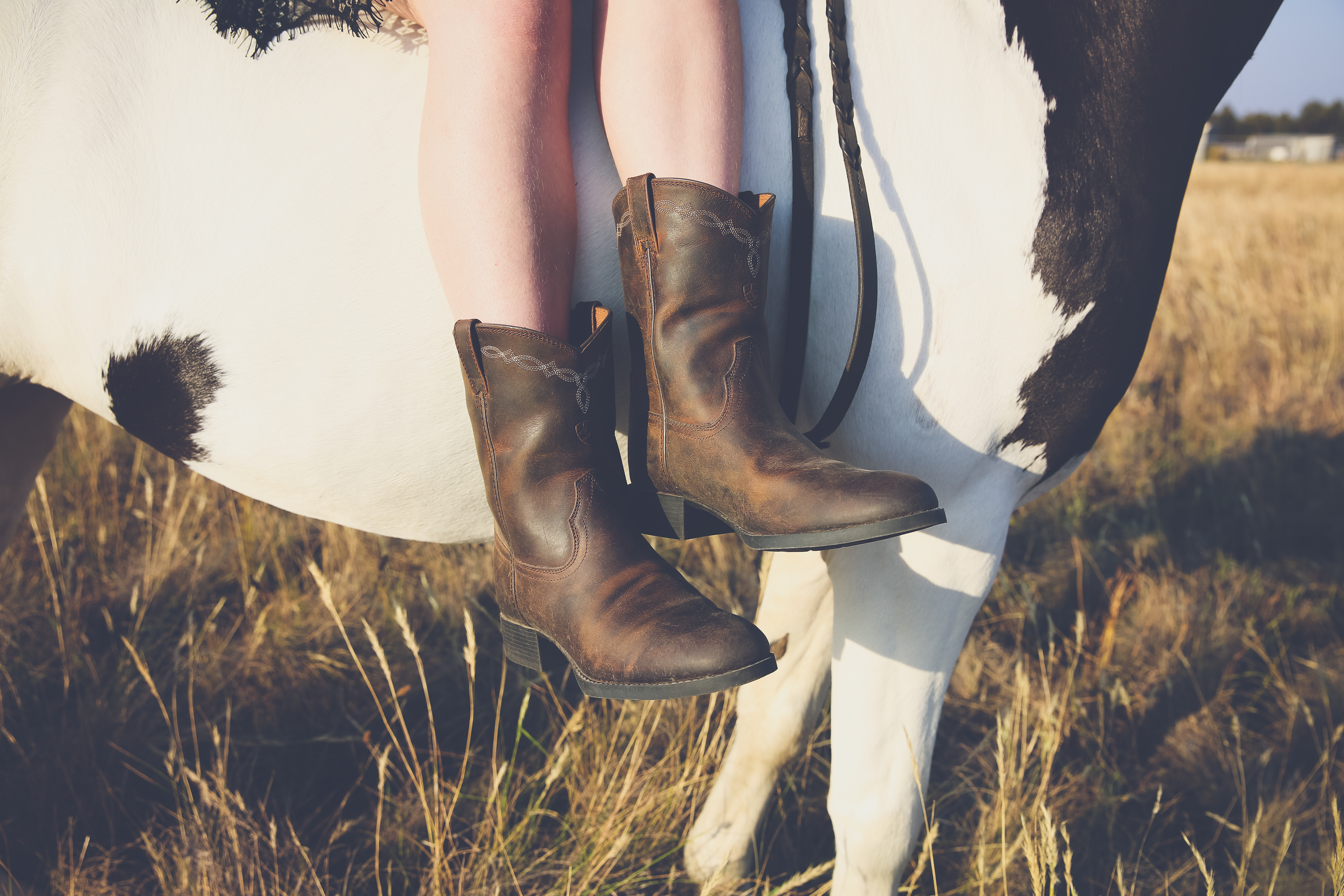 western style photography horse photographer country bacchus marsh ballarat